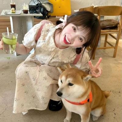 黑帮夏日好开工